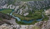 Parc naturel du velebit centre dendemisme