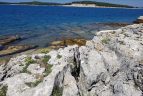 Un paradis cache sur terre parc national de brijuni
