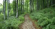 Parc naturel de lucka