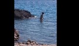 Plage de fkk tomazevo krk croatie